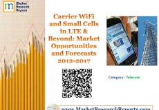 Carrier WiFi and Small Cells in LTE & Beyond: Market Opportunities and Forecasts 2012-2017